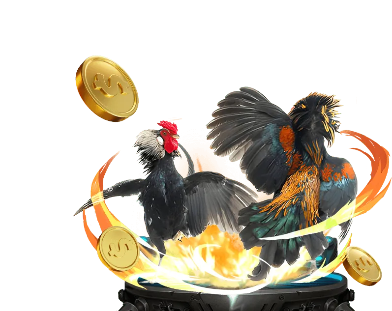 Lợi ích khi chơi đá gà tại Kubet Mov